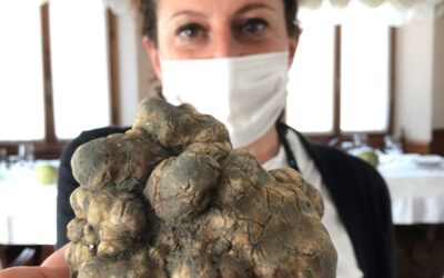 La 39^ fiera del Tartufo a San Sebastiano