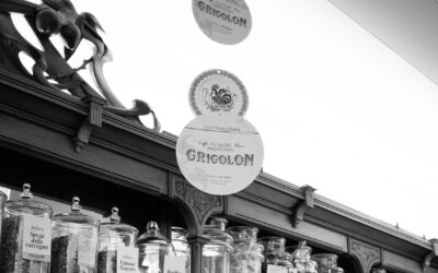 Un incontro di storia e sapori al Caffè Grigolon per “Calici e Forchette”
